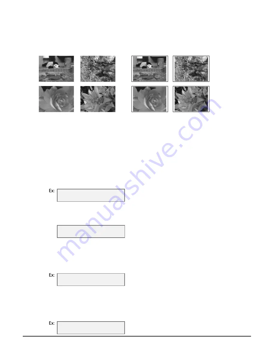 Canon 8297A002 User Manual Download Page 45