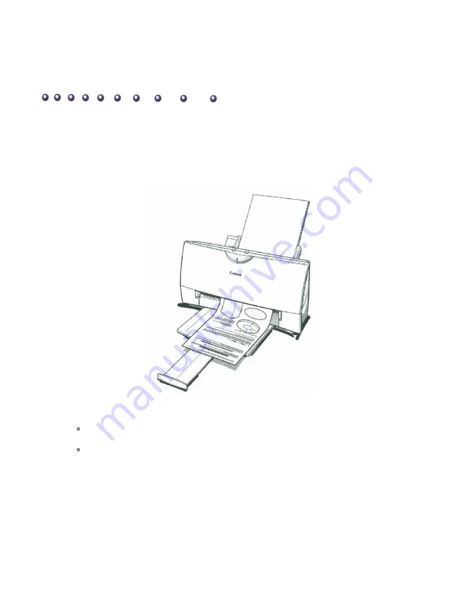 Canon BJC-4300 Series Скачать руководство пользователя страница 4