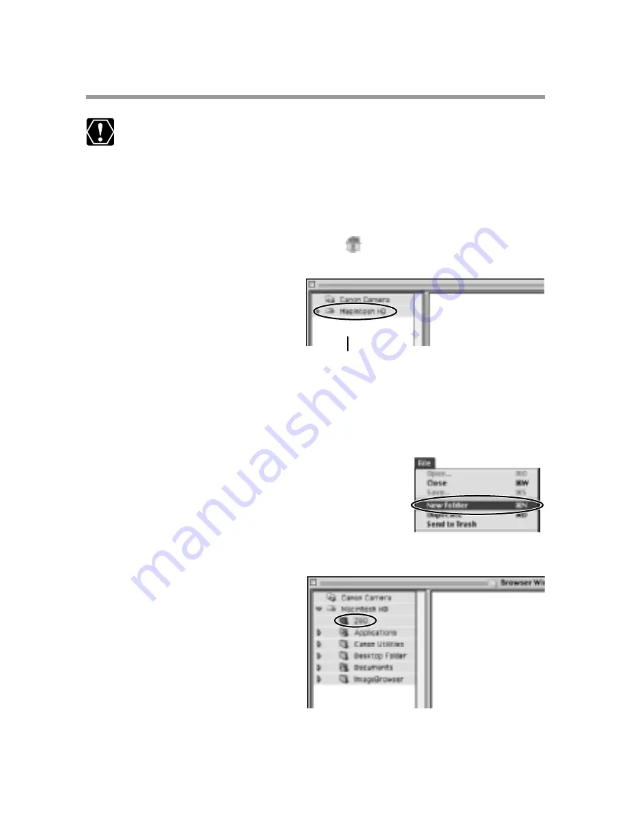 Canon ELURA 50 User Manual Download Page 243