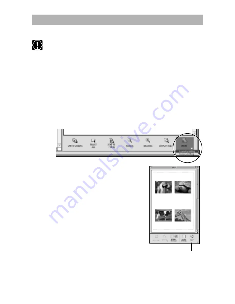 Canon ELURA 50 User Manual Download Page 259