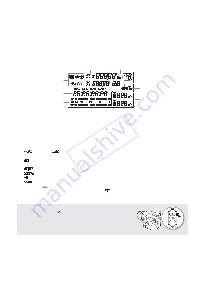 Canon EOS C300 Instruction Manual Download Page 57