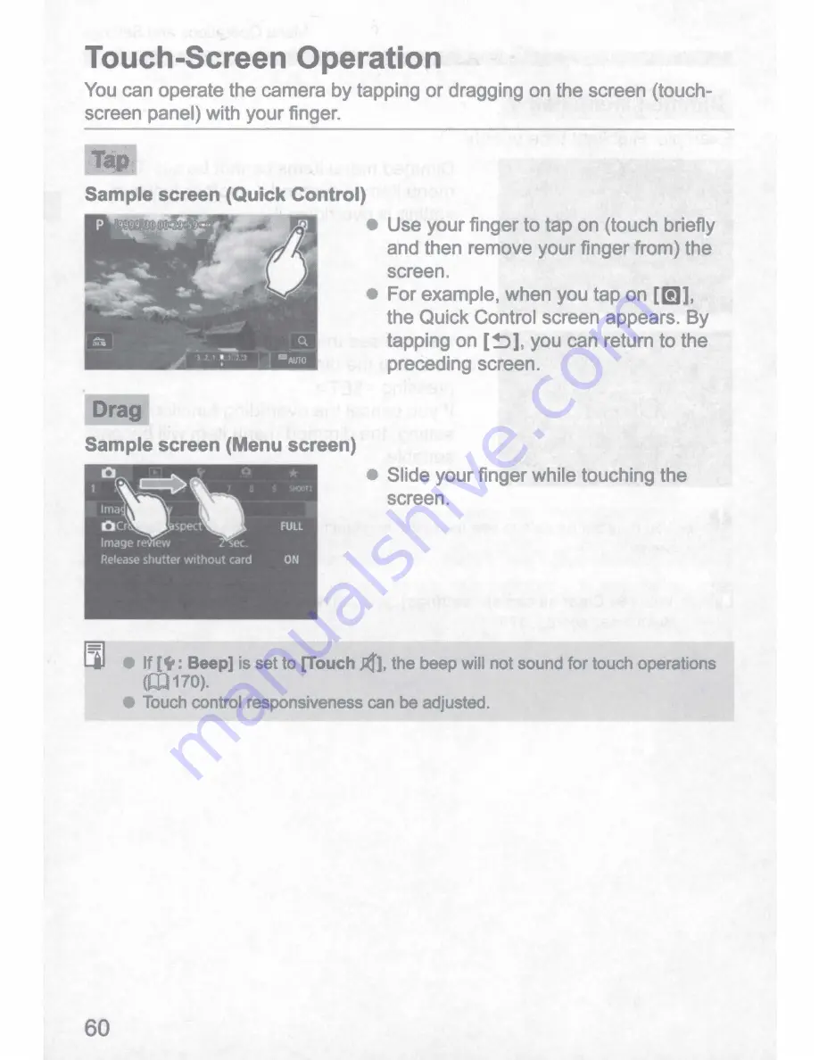 Canon EOS RP Instruction Manual Download Page 61