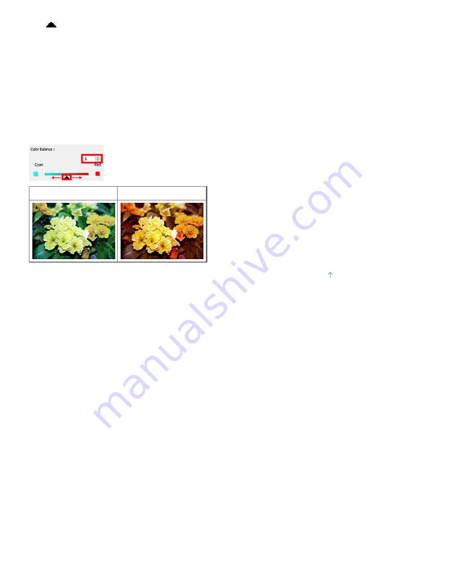 Canon MP250 series On-Screen Manual Download Page 474