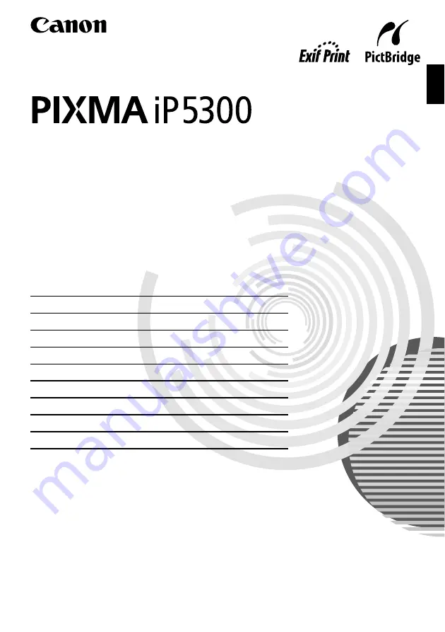 Canon PIXMA IP5300 Скачать руководство пользователя страница 333