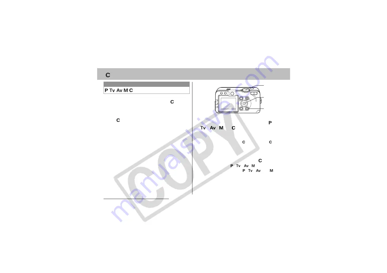 Canon Powershot S70 User Manual Download Page 102