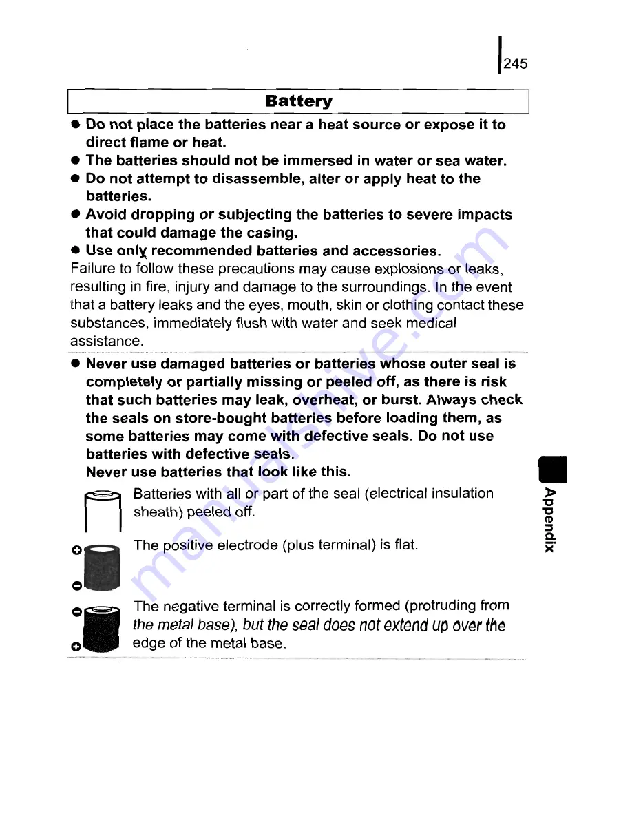 Canon PowerShot SX10 IS User Manual Download Page 247