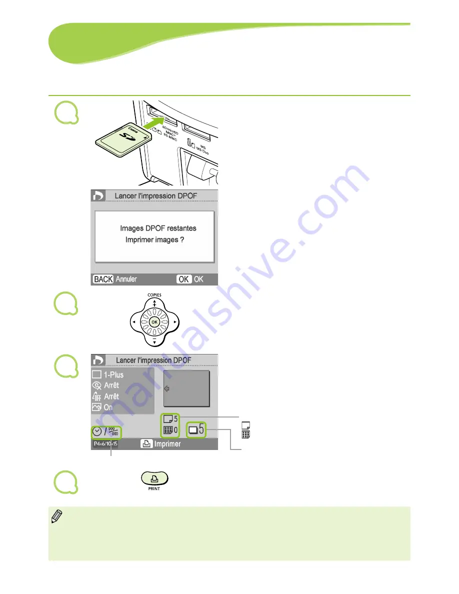 Canon SELPHY CP790 User Manual Download Page 249