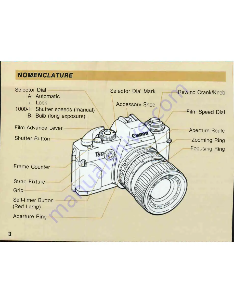 Canon T 60 Instructions Manual Download Page 4