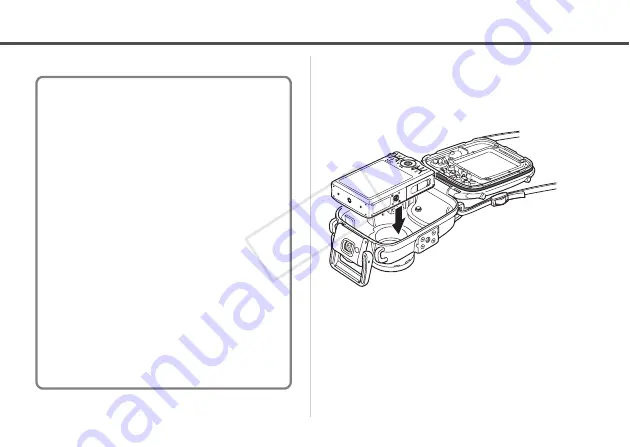 Canon WP-DC24 Скачать руководство пользователя страница 91