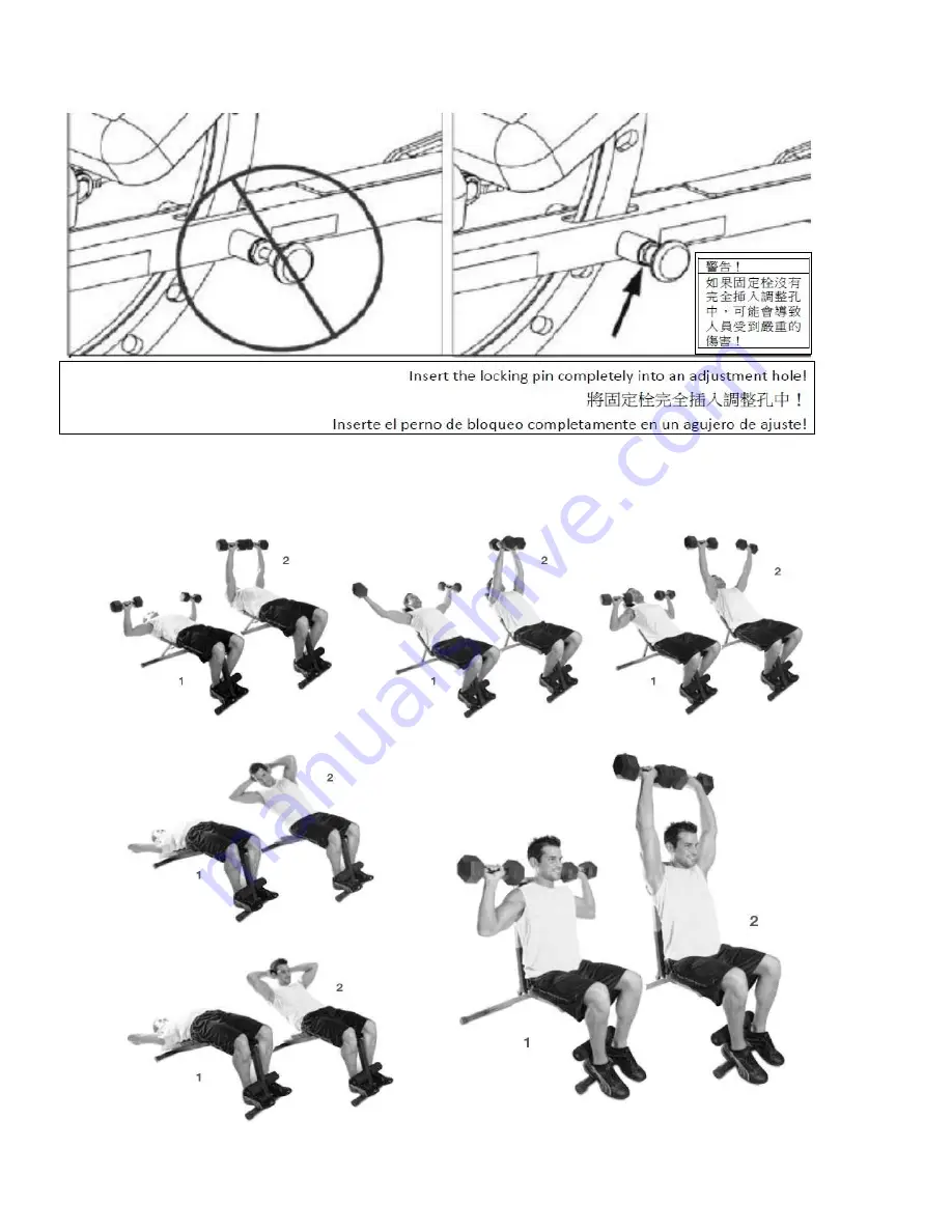 Cap Strength DELUXE FID FM-804S Скачать руководство пользователя страница 12