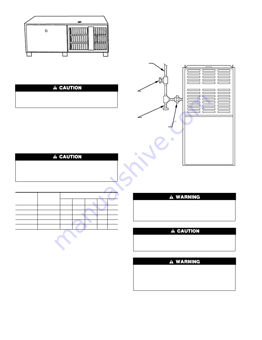 Carrier 58UXT Series Operating Instructions Manual Download Page 10