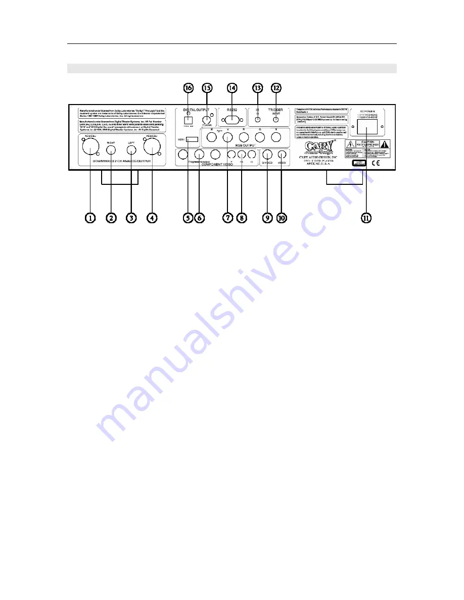 Cary Audio Design DVD 7 Скачать руководство пользователя страница 14