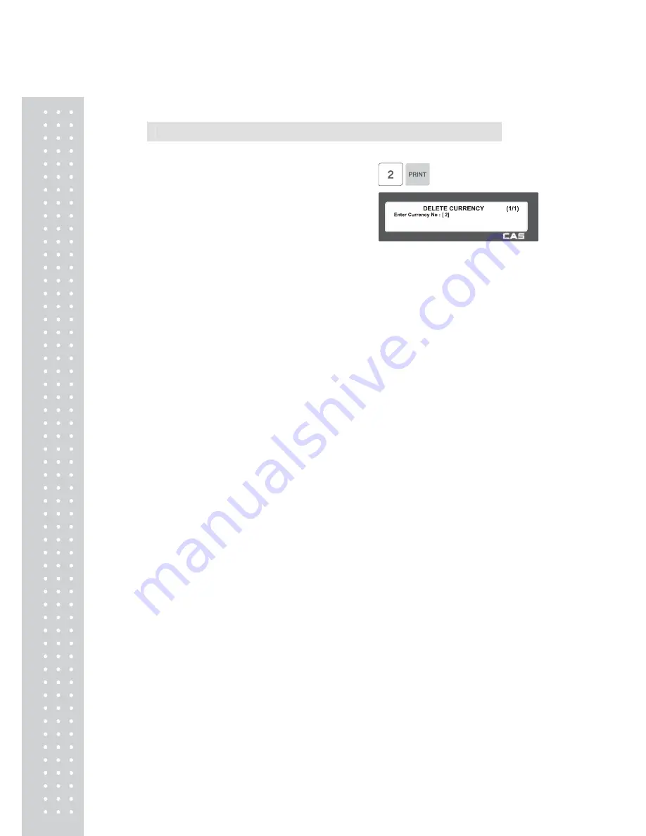 CAS CL series User Manual Download Page 97