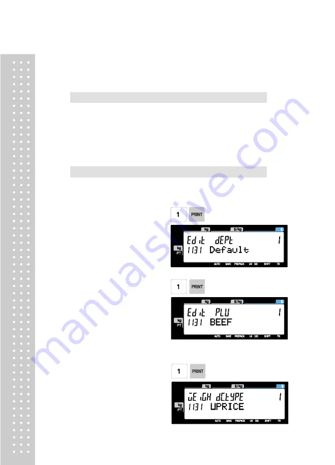 CAS CL5200J Series Manual Download Page 67