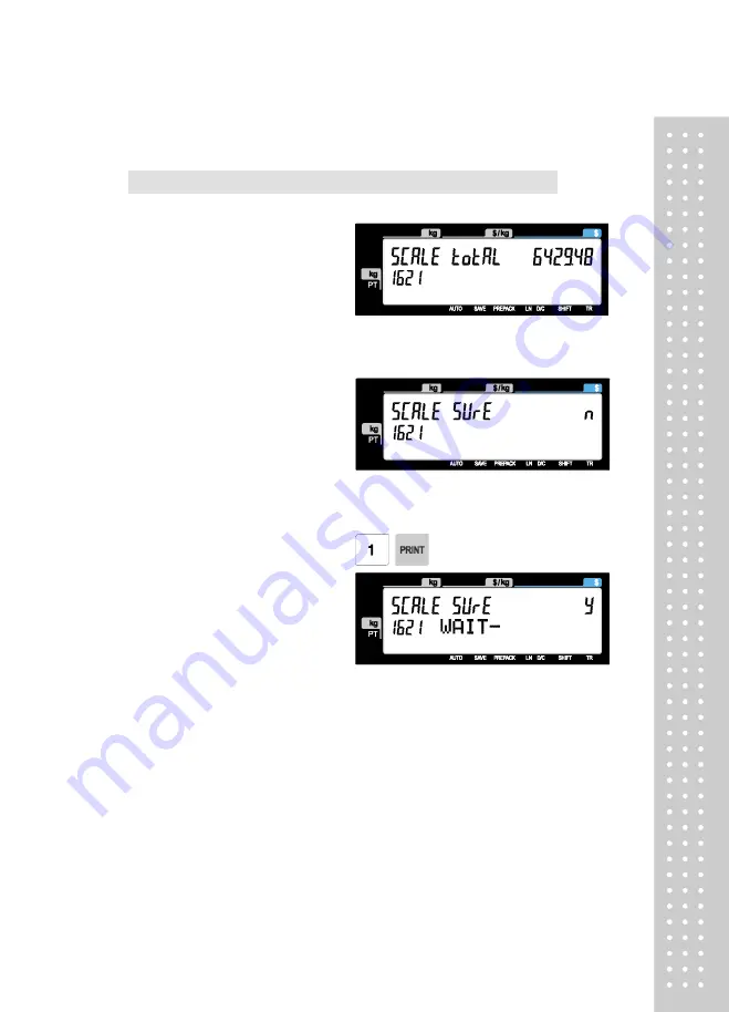 CAS CL5200J Series Manual Download Page 152