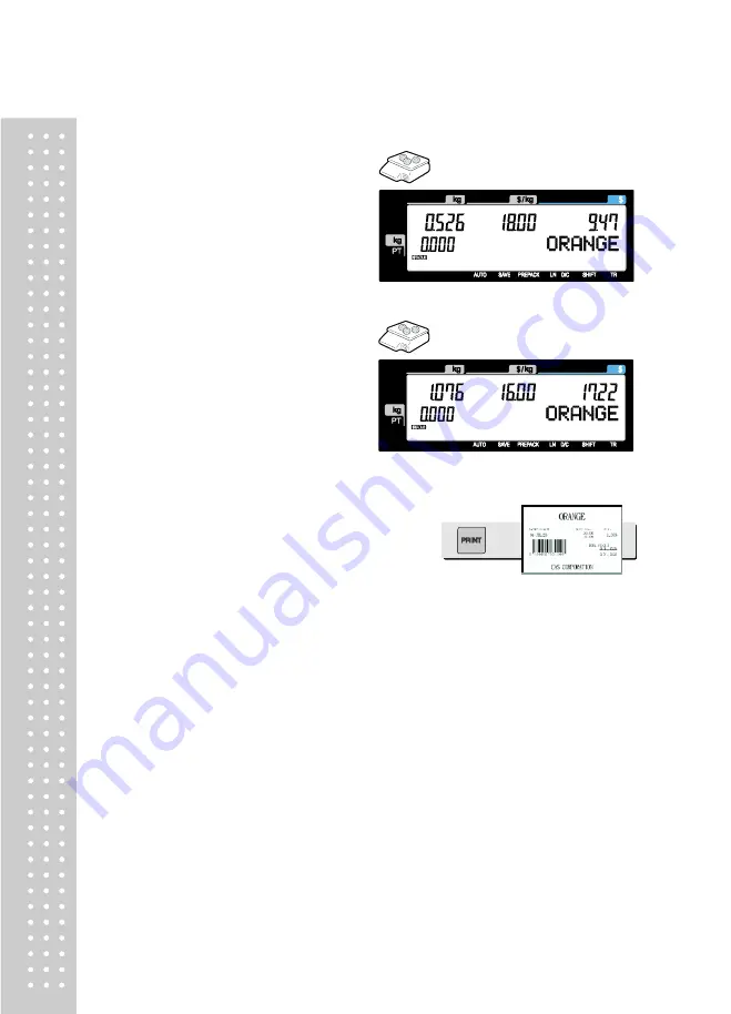 CAS CL5200J Series Manual Download Page 169