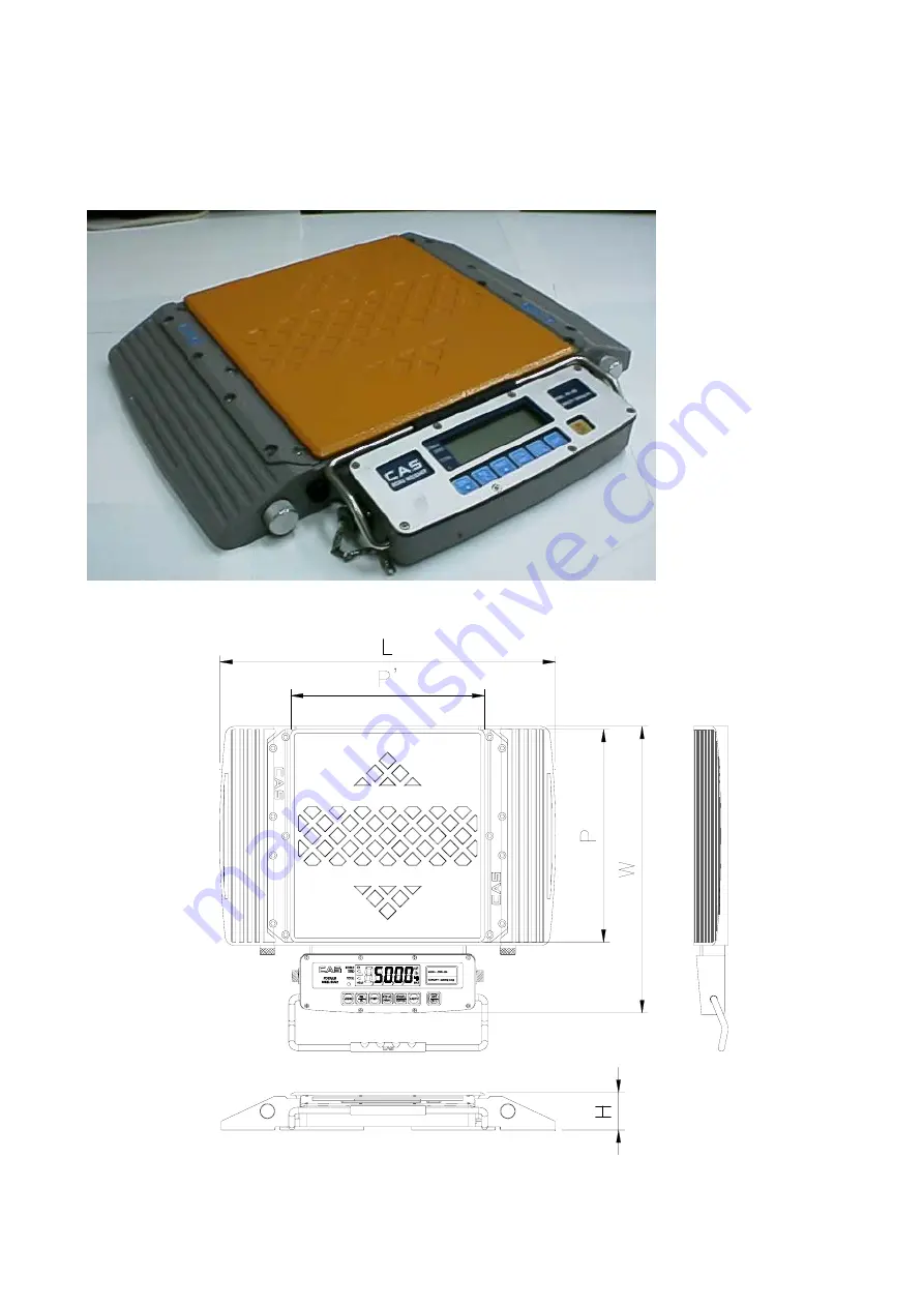 CAS RW Series Service Manual Download Page 5