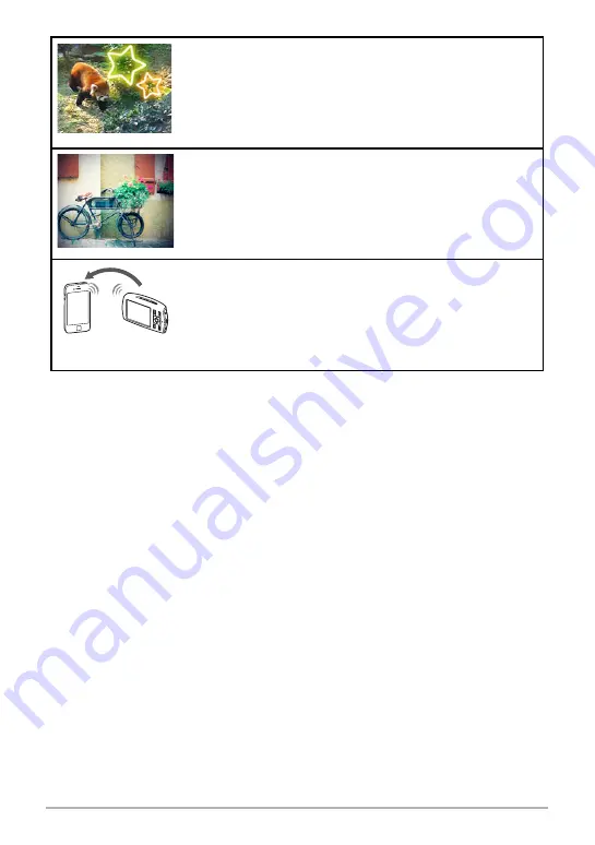 Casio EX-MR1 User Manual Download Page 13