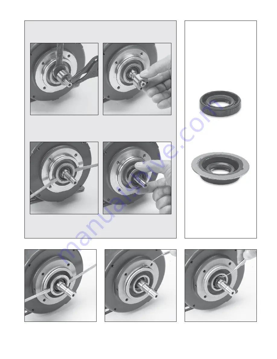 CAT Pumps 1XP Series Скачать руководство пользователя страница 11