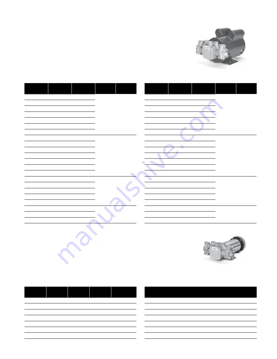 CAT Pumps 1XP Series Installation, Operational And Repair Manual Download Page 19