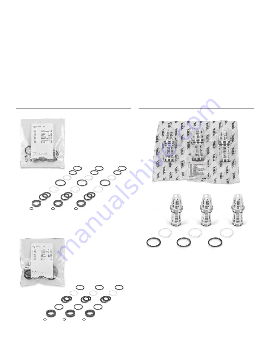 CAT Pumps 2560 Service Manual Download Page 6