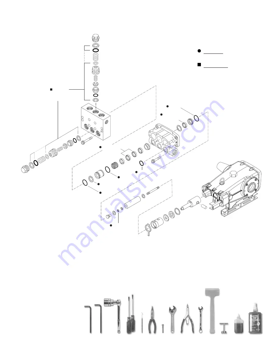 CAT Pumps 3570 Series Service Manual Download Page 7