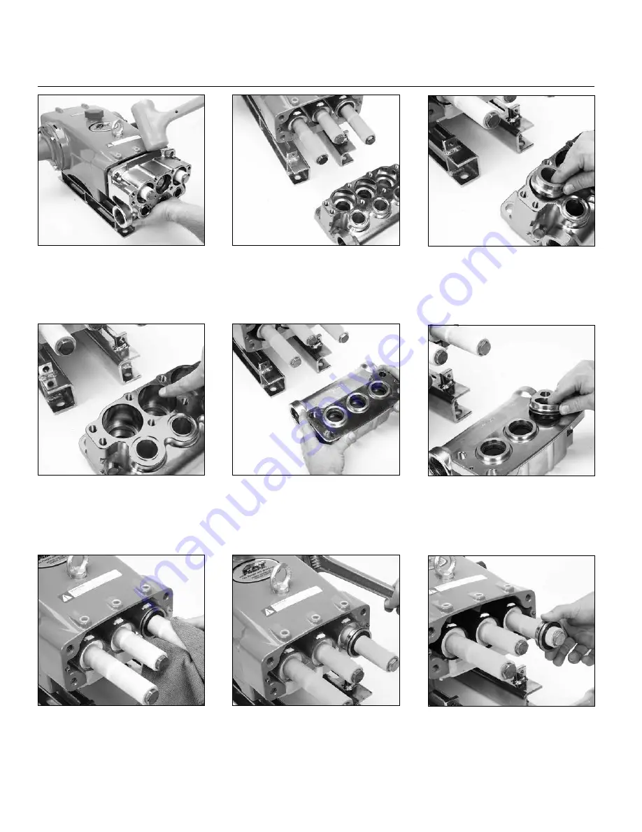 CAT Pumps 3570 Series Скачать руководство пользователя страница 10