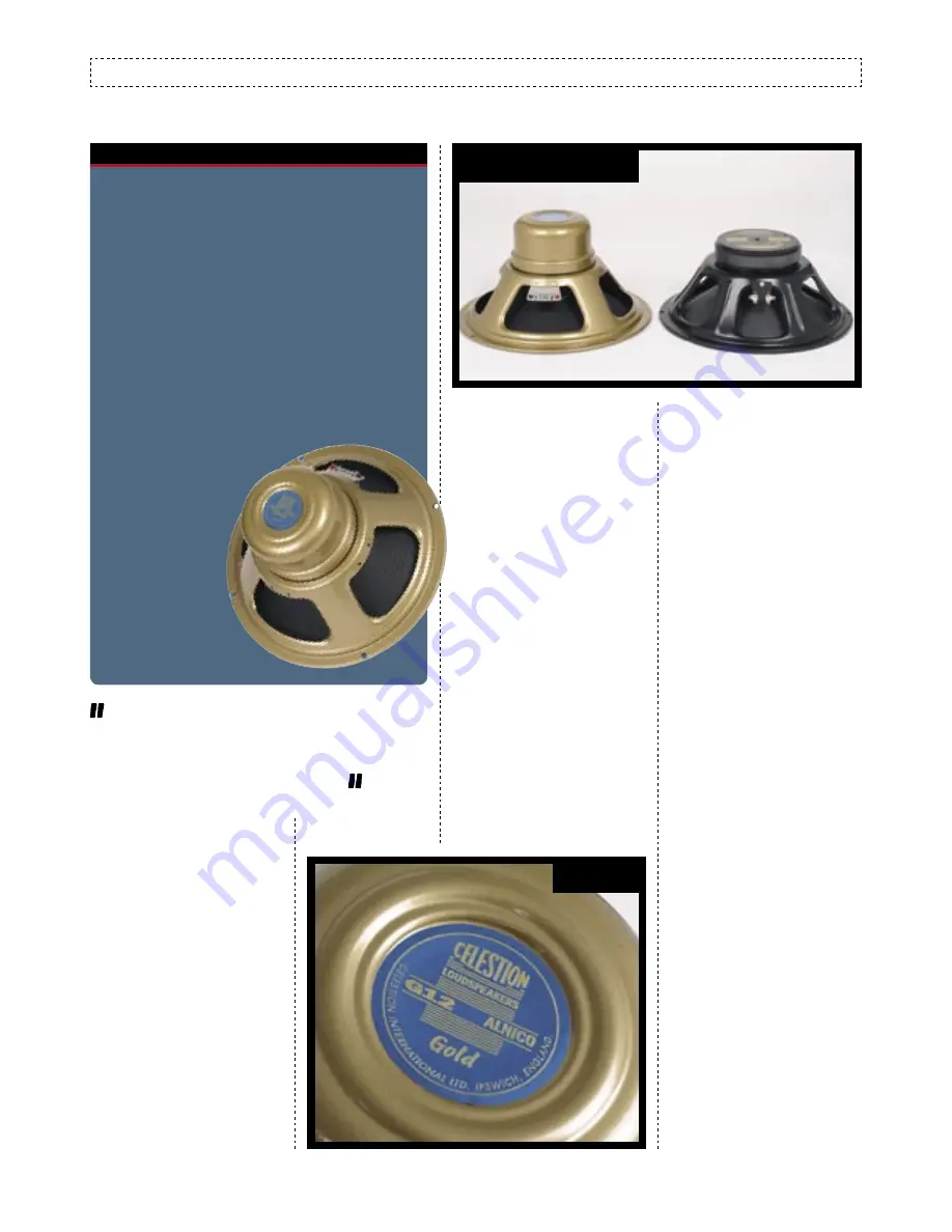 Celestion ALNICO Celestion Gold Brochure Download Page 3