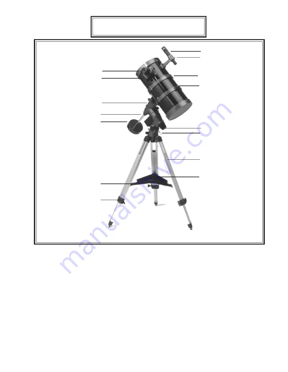 Celestron 31056 Скачать руководство пользователя страница 9