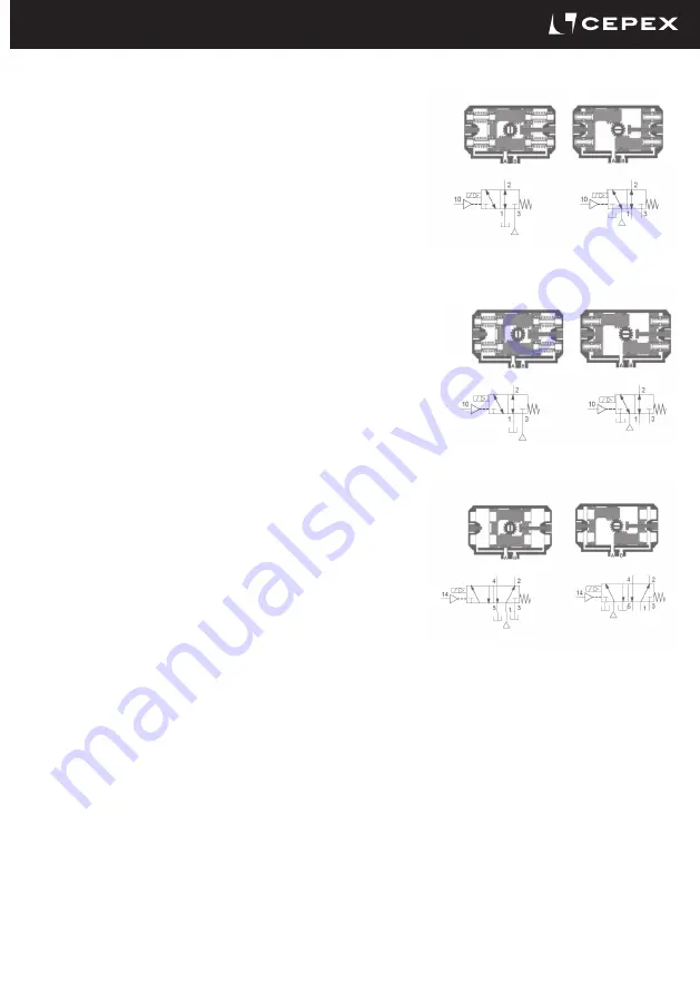 Cepex EXTREME Series Installation And Maintenance Manual Download Page 49