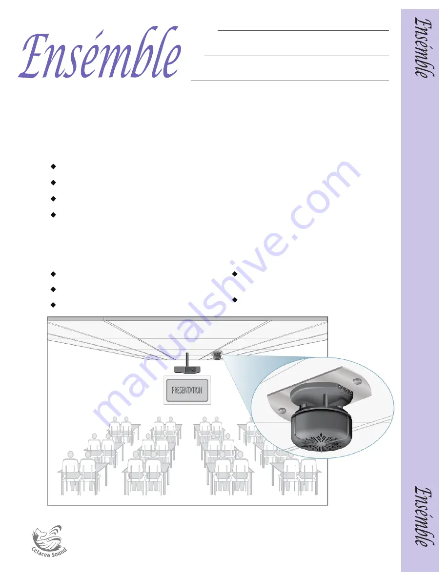 Cetacea Sound CEIL-90-3 Supplementary Manual Download Page 1