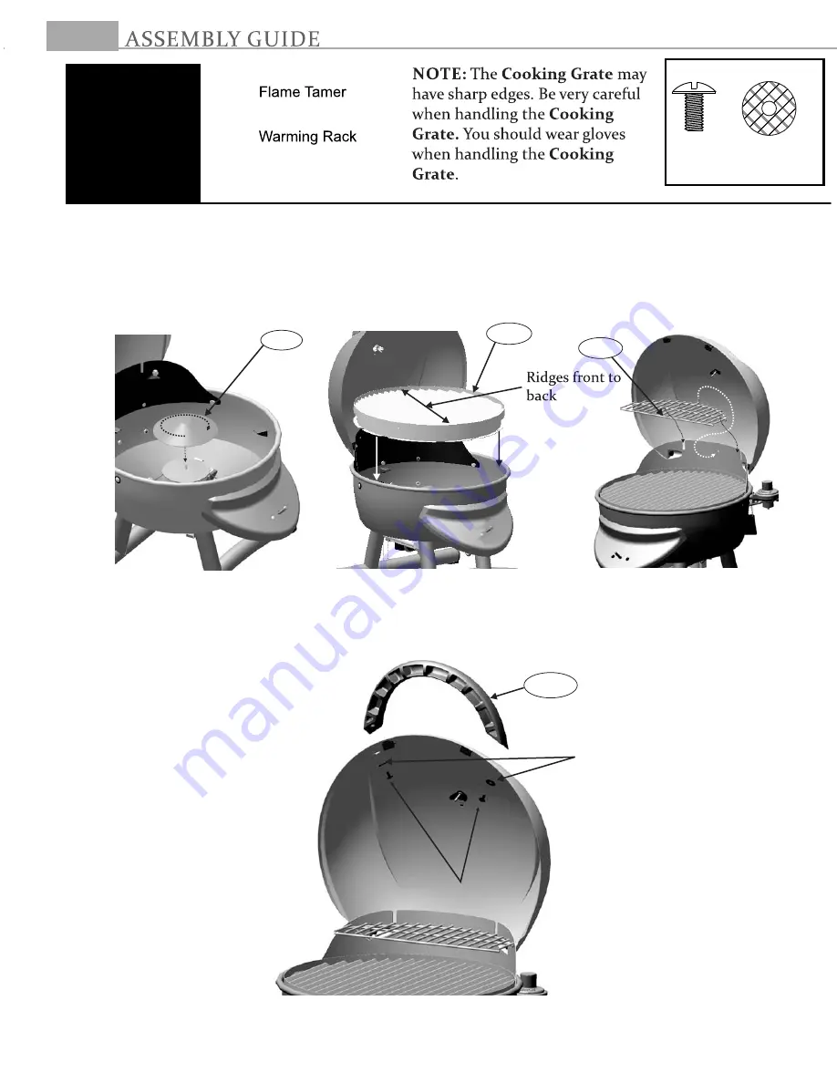 Char-Broil TRU Infrared Patio Bistro 12601713 Скачать руководство пользователя страница 10