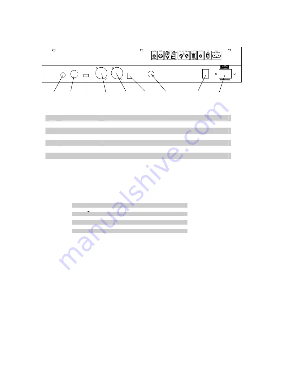 Chauvet DMX-55 User Manual Download Page 6