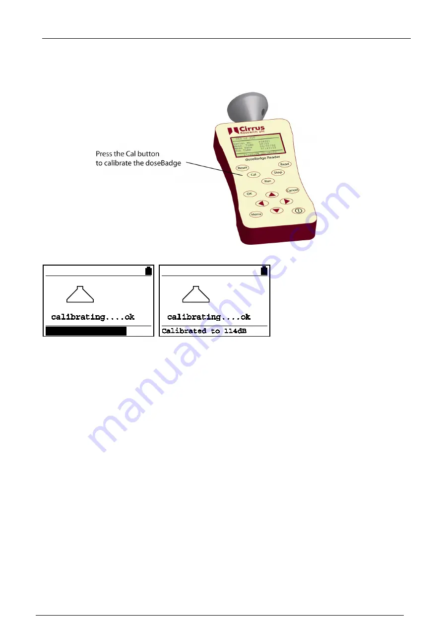 Cirrus Research doseBadge CR:112A Скачать руководство пользователя страница 21