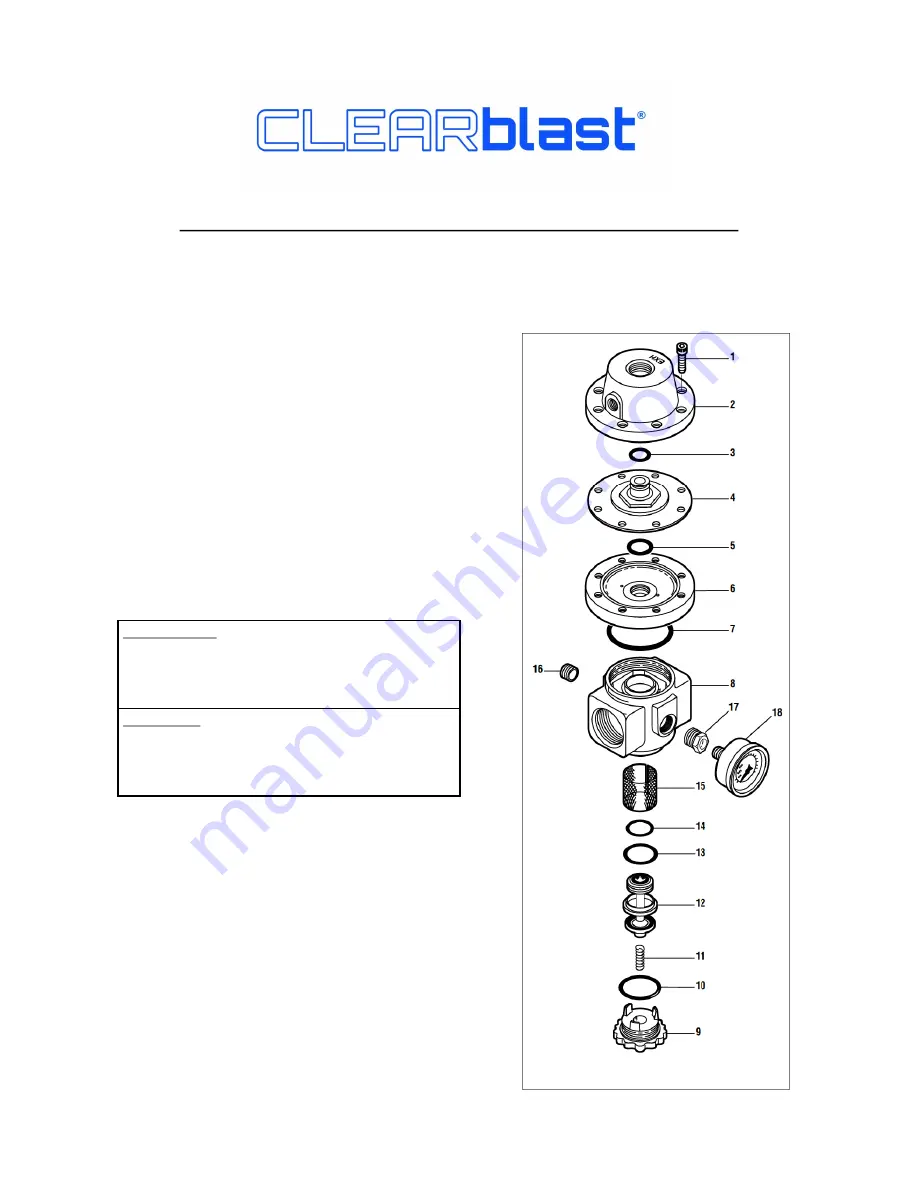 CLEARblast 150 Owner'S Manual Download Page 27