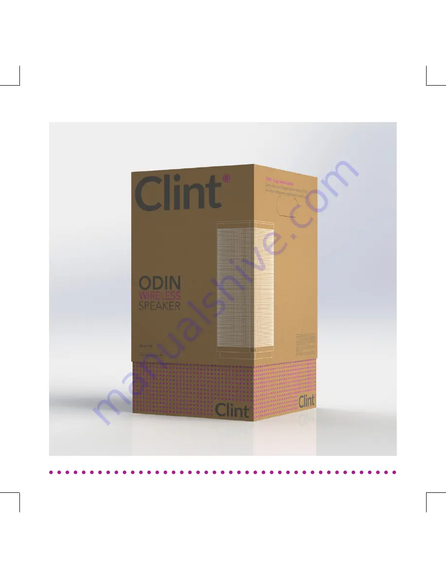 Clint ODIN User Manual Download Page 6