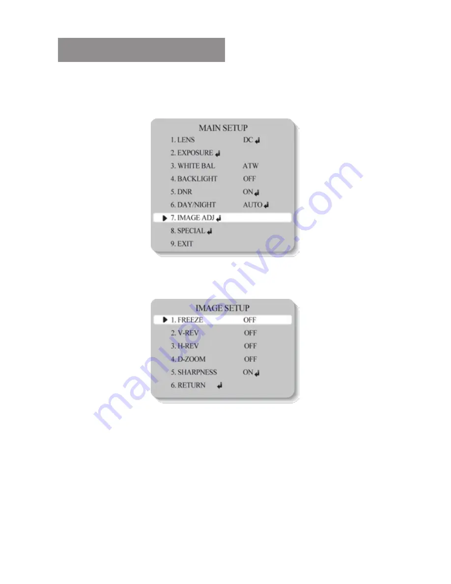 Clinton Electronics CE-T909 User Manual Download Page 21