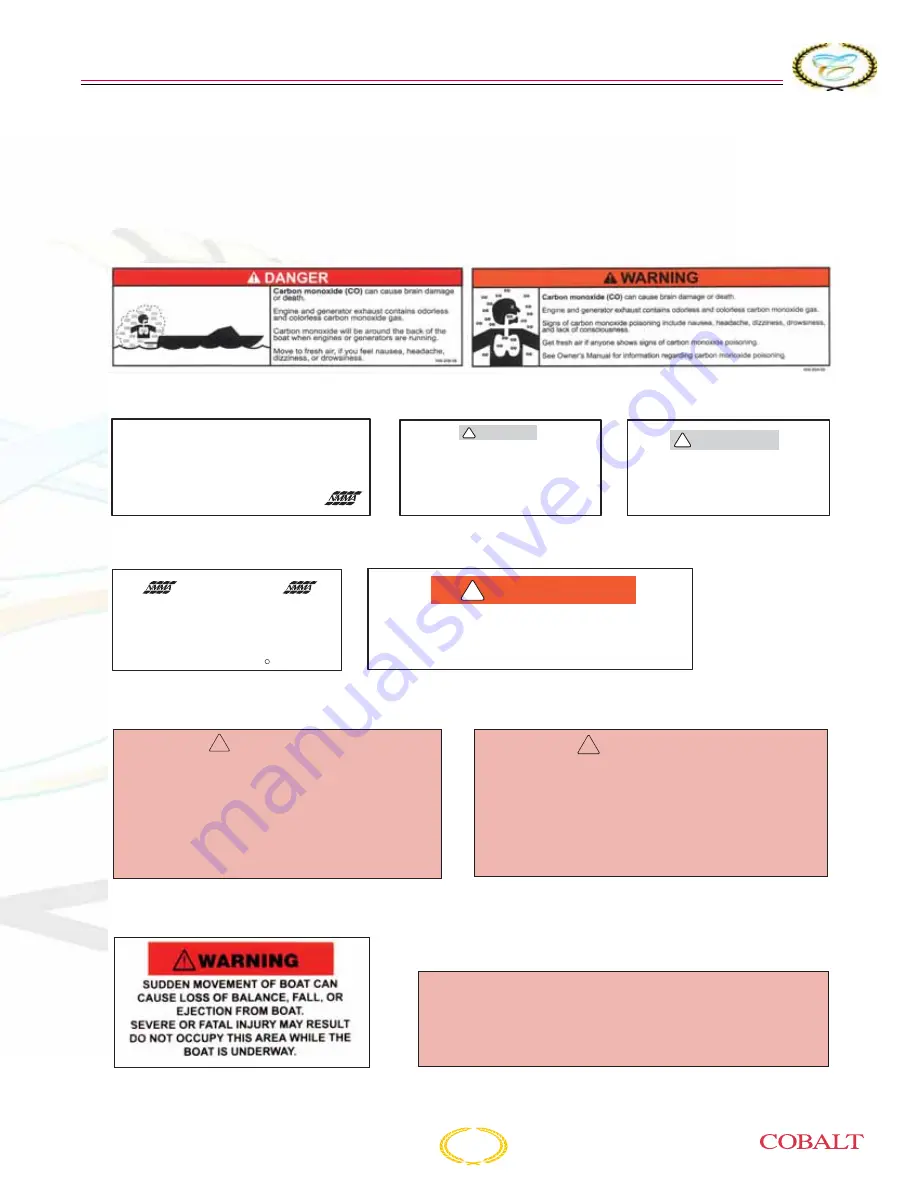 Cobalt Digital Inc 202 BOWRIDER Owner'S Manual Download Page 13