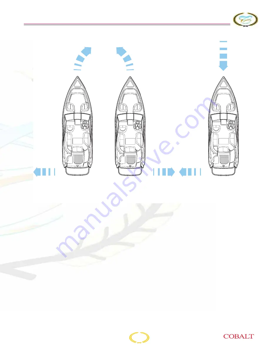 Cobalt Digital Inc 202 BOWRIDER Скачать руководство пользователя страница 63