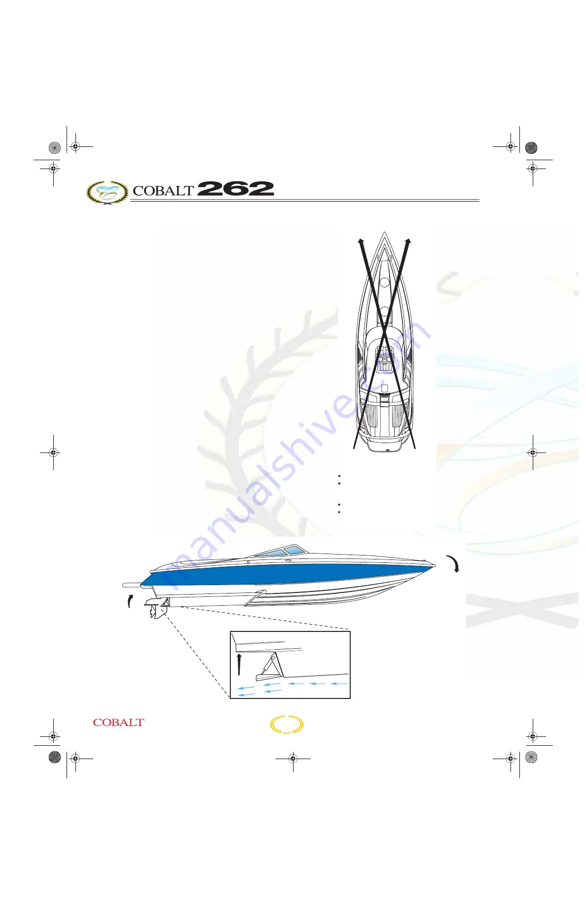 Cobalt Digital Inc 250 BOWRIDER Owner'S Manual Download Page 66