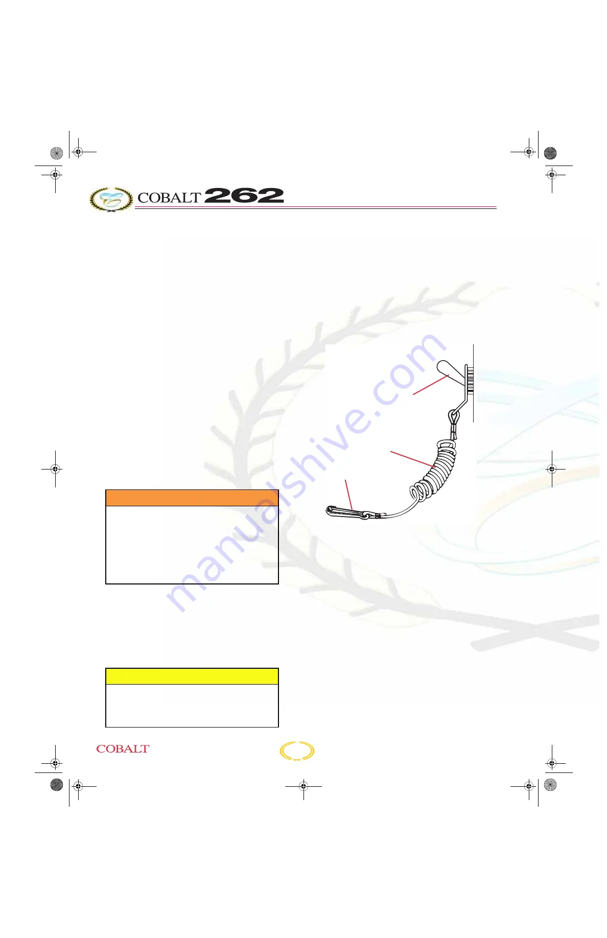 Cobalt Digital Inc 250 BOWRIDER Скачать руководство пользователя страница 74