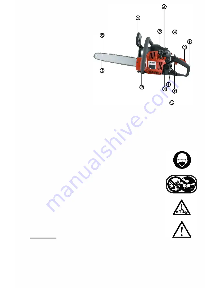 Cobra CS420 Скачать руководство пользователя страница 3