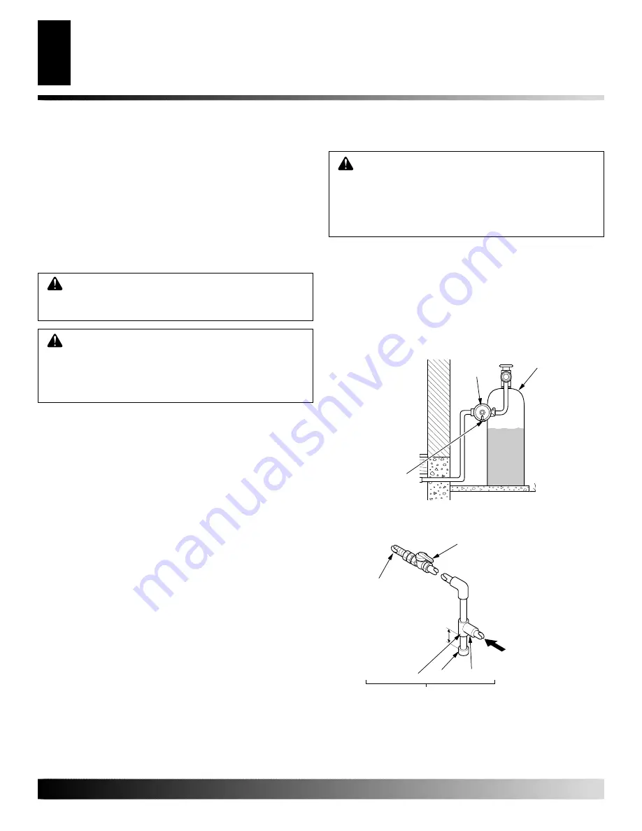 Comfort Glow CSDBN Owner'S Operation And Installation Manual Download Page 20