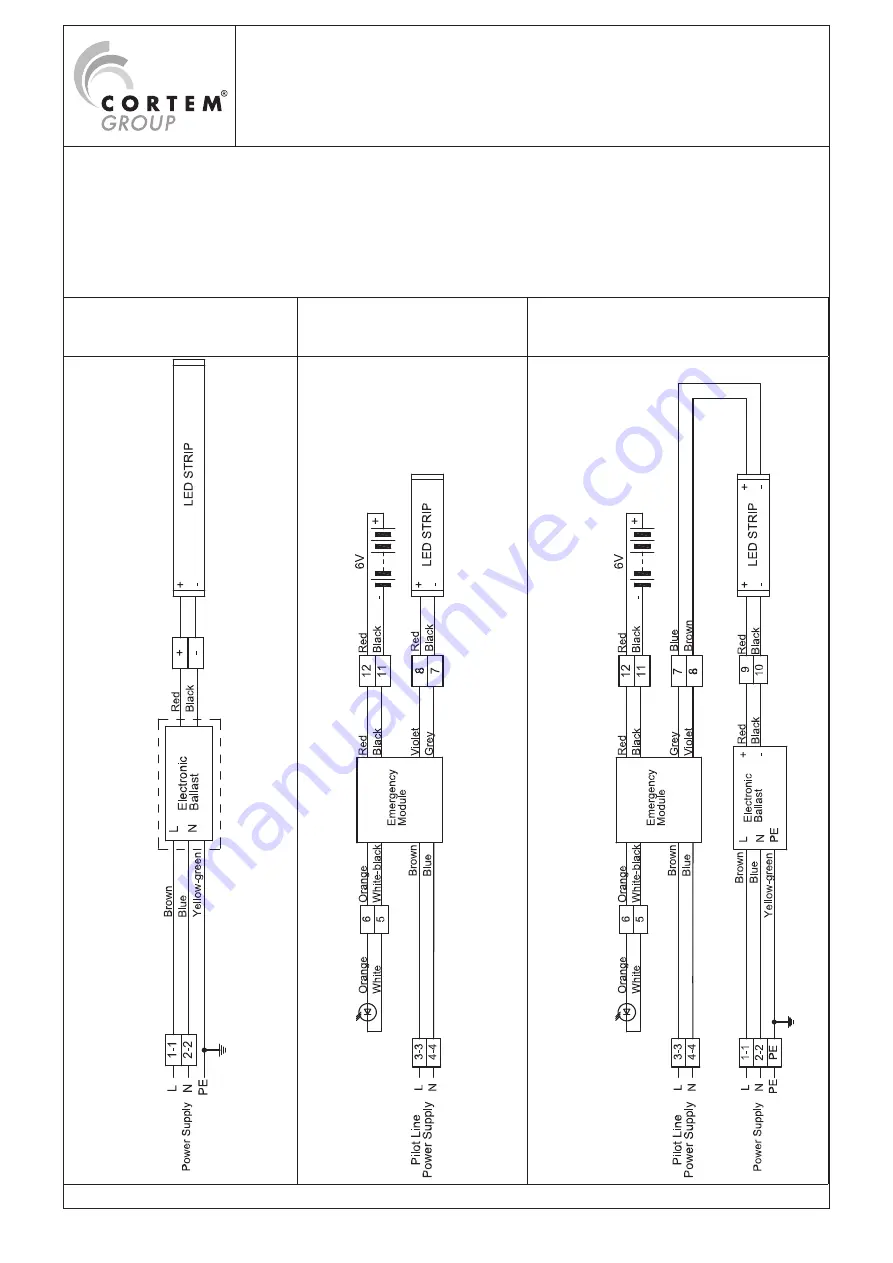 CORTEM LifEx Series Mounting Instructions Download Page 5