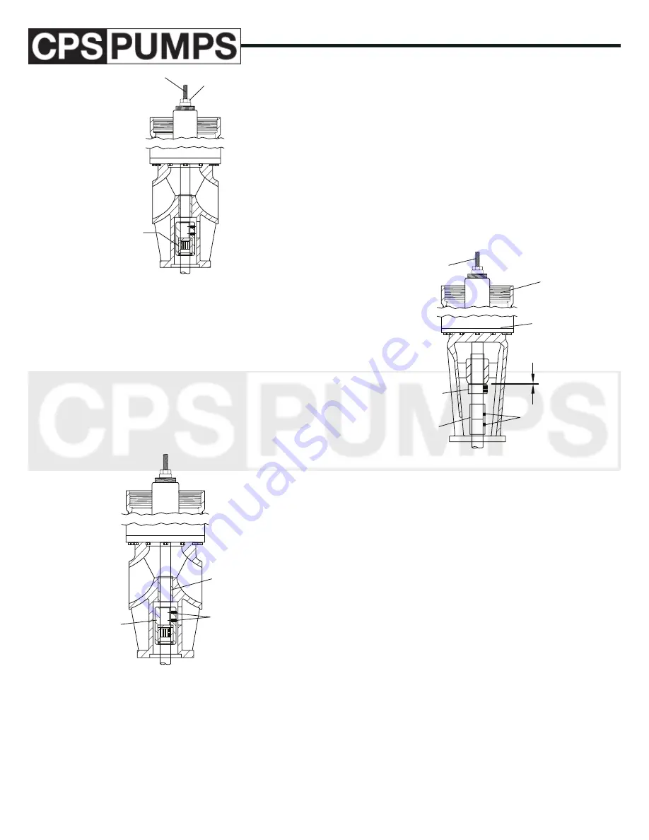 CPS-Pumps CST Series Скачать руководство пользователя страница 24