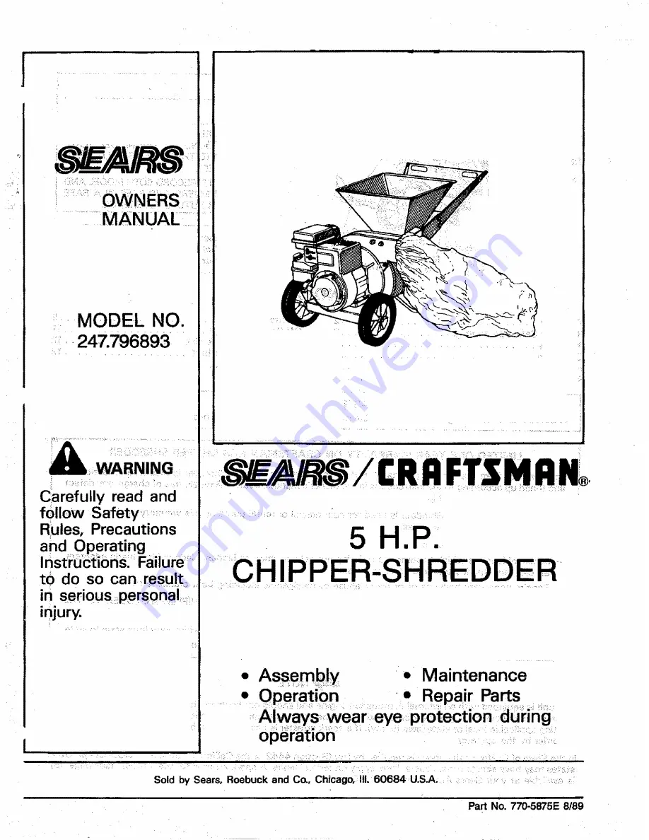 Craftsman 247.796893 Скачать руководство пользователя страница 1