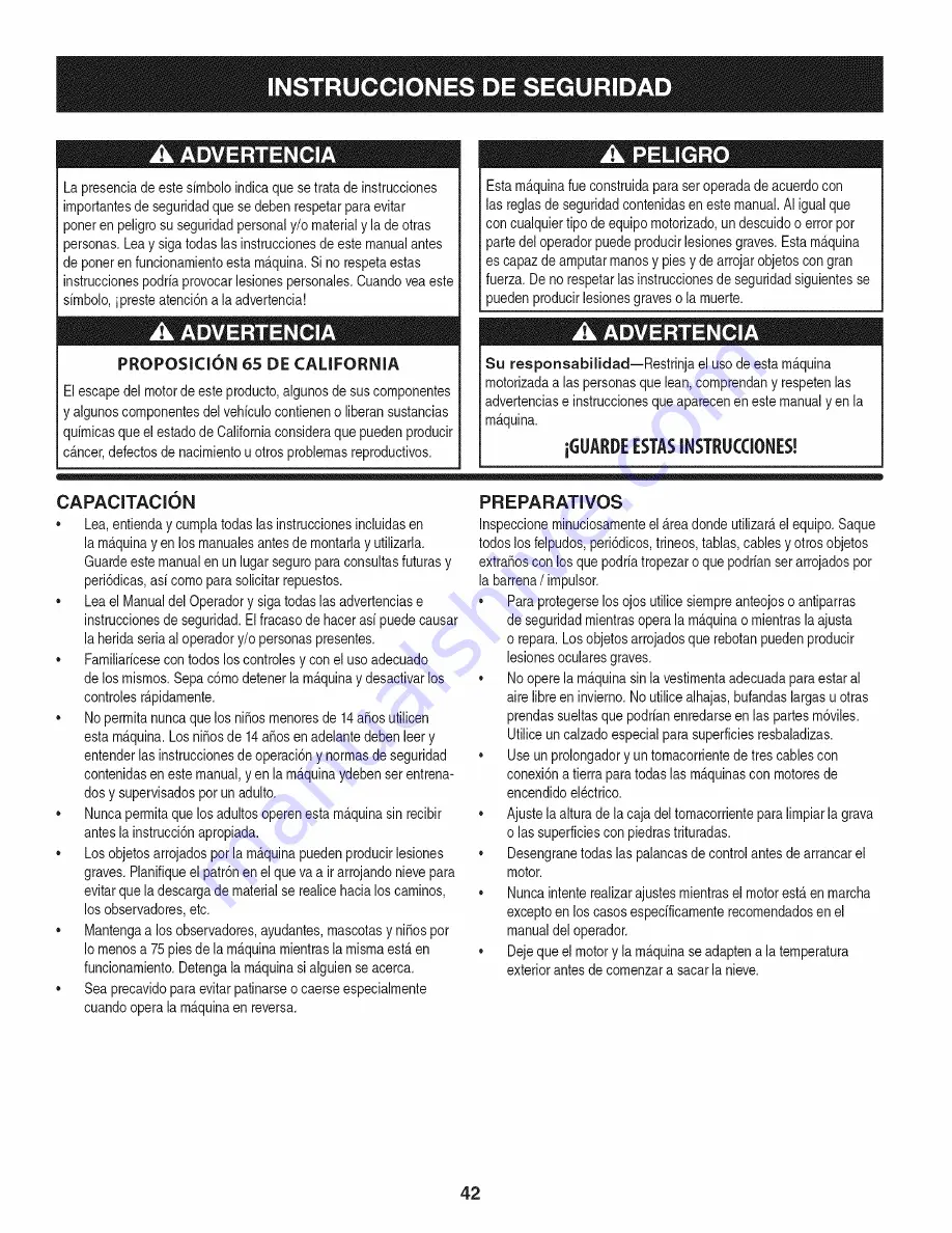 Craftsman CX series 247.883980 Operator'S Manual Download Page 42