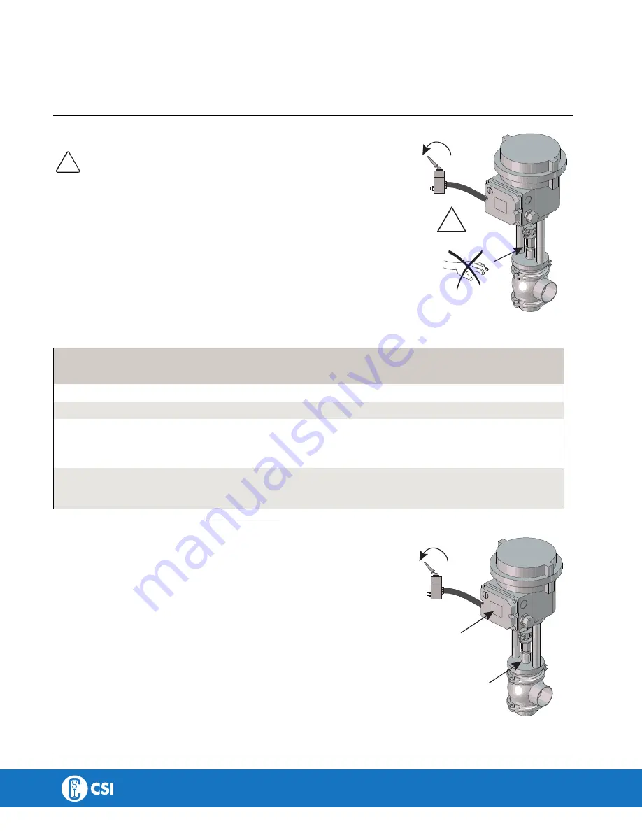 CSI alfa laval Unique RV-P Instruction Manual Download Page 19