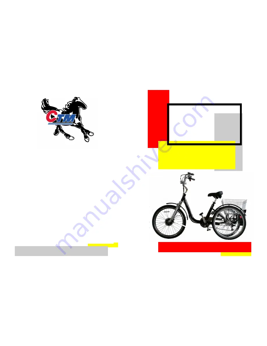 CTM E-TRIKE 24 Owner'S Manual Download Page 1