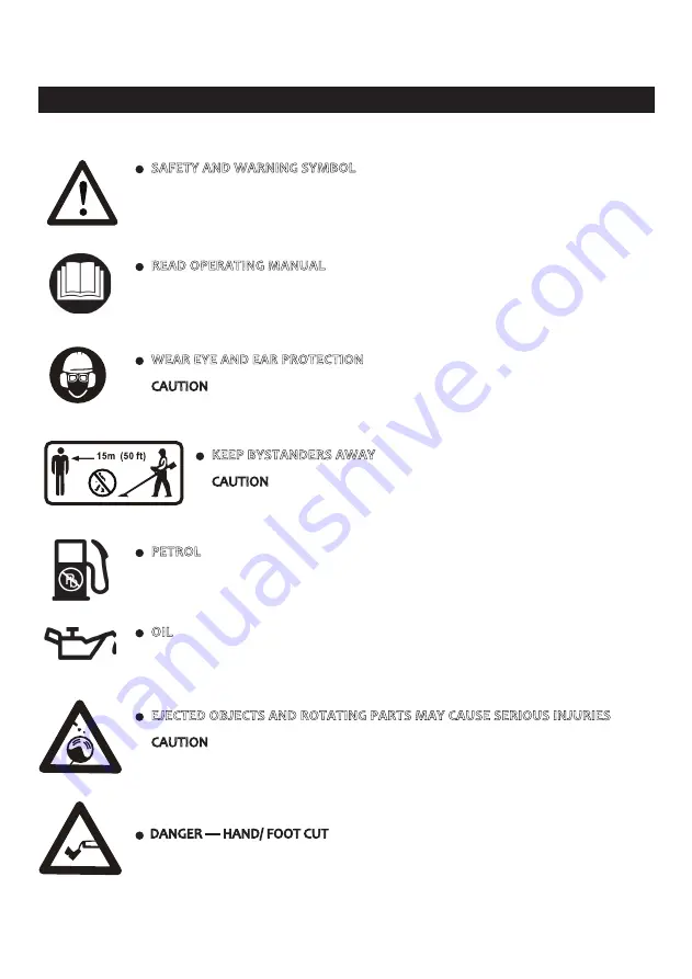 Cub Cadet CC924 Скачать руководство пользователя страница 5